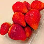 ヒメ日記 2025/02/01 12:48 投稿 ももかさん いけない奥さん 梅田店