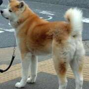 ヒメ日記 2025/03/02 10:02 投稿 ももかさん いけない奥さん 梅田店