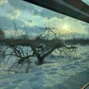 ヒメ日記 2025/03/13 16:48 投稿 ももかさん いけない奥さん 梅田店