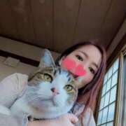 ヒメ日記 2025/03/14 09:48 投稿 ももかさん いけない奥さん 梅田店