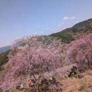 ヒメ日記 2025/04/10 23:48 投稿 ももかさん いけない奥さん 梅田店