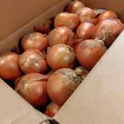 ヒメ日記 2025/04/18 09:08 投稿 ももかさん いけない奥さん 梅田店