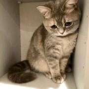 ヒメ日記 2025/04/25 12:11 投稿 ももかさん いけない奥さん 梅田店