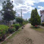 ヒメ日記 2025/05/07 18:48 投稿 ももかさん いけない奥さん 梅田店