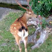 ヒメ日記 2025/06/30 18:42 投稿 ももかさん いけない奥さん 梅田店