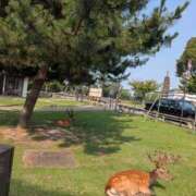 ヒメ日記 2025/07/01 09:30 投稿 ももかさん いけない奥さん 梅田店