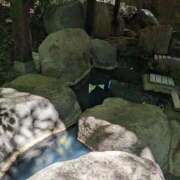 ヒメ日記 2025/08/05 08:19 投稿 ももかさん いけない奥さん 梅田店