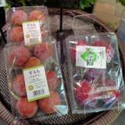 ヒメ日記 2025/08/15 15:40 投稿 ももかさん いけない奥さん 梅田店