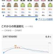 ヒメ日記 2025/11/11 07:13 投稿 ももかさん いけない奥さん 梅田店