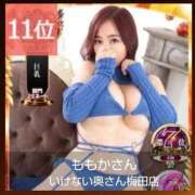 ヒメ日記 2025/11/12 13:28 投稿 ももかさん いけない奥さん 梅田店