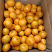 ヒメ日記 2025/11/23 09:22 投稿 ももかさん いけない奥さん 梅田店