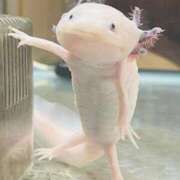 ヒメ日記 2026/01/03 20:49 投稿 ももかさん いけない奥さん 梅田店