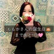 ヒメ日記 2026/02/12 11:35 投稿 ももかさん いけない奥さん 梅田店