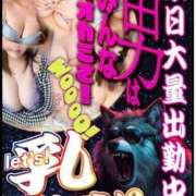 ヒメ日記 2026/03/20 19:38 投稿 ももかさん いけない奥さん 梅田店