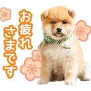 ヒメ日記 2026/03/26 18:59 投稿 ももかさん いけない奥さん 梅田店