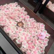 ヒメ日記 2026/04/09 08:28 投稿 ももかさん いけない奥さん 梅田店