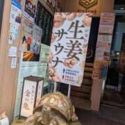 ヒメ日記 2026/09/09 22:26 投稿 ももかさん いけない奥さん 梅田店