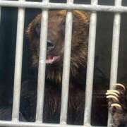 ヒメ日記 2026/04/23 18:28 投稿 ゆりさん いけない奥さん 梅田店