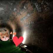 ヒメ日記 2025/02/10 22:50 投稿 しい 谷町人妻ゴールデン倶楽部