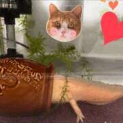 ヒメ日記 2025/02/13 22:00 投稿 しい 谷町人妻ゴールデン倶楽部