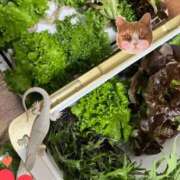 ヒメ日記 2025/02/25 22:20 投稿 しい 谷町人妻ゴールデン倶楽部