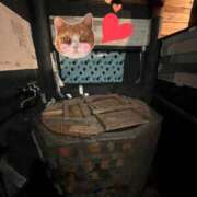 ヒメ日記 2025/03/13 22:45 投稿 しい 谷町人妻ゴールデン倶楽部