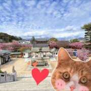 ヒメ日記 2025/04/10 21:40 投稿 しい 谷町人妻ゴールデン倶楽部