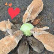 ヒメ日記 2025/04/11 22:10 投稿 しい 谷町人妻ゴールデン倶楽部