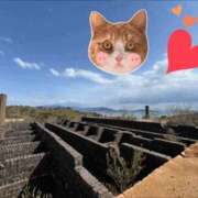 ヒメ日記 2025/04/14 22:20 投稿 しい 谷町人妻ゴールデン倶楽部