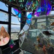 ヒメ日記 2025/04/18 23:00 投稿 しい 谷町人妻ゴールデン倶楽部