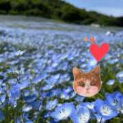 ヒメ日記 2025/04/30 21:50 投稿 しい 谷町人妻ゴールデン倶楽部