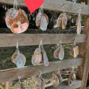 ヒメ日記 2025/05/01 22:35 投稿 しい 谷町人妻ゴールデン倶楽部