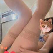 ヒメ日記 2025/05/12 22:20 投稿 しい 谷町人妻ゴールデン倶楽部