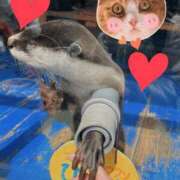 ヒメ日記 2025/05/23 22:50 投稿 しい 谷町人妻ゴールデン倶楽部