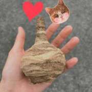 ヒメ日記 2025/05/27 21:40 投稿 しい 谷町人妻ゴールデン倶楽部