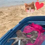 ヒメ日記 2025/06/24 23:05 投稿 しい 谷町人妻ゴールデン倶楽部