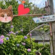 ヒメ日記 2025/06/30 22:45 投稿 しい 谷町人妻ゴールデン倶楽部