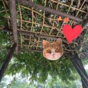 ヒメ日記 2025/07/07 22:30 投稿 しい 谷町人妻ゴールデン倶楽部