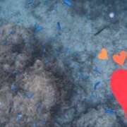 ヒメ日記 2025/08/27 22:25 投稿 しい 谷町人妻ゴールデン倶楽部