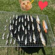 ヒメ日記 2025/08/28 22:25 投稿 しい 谷町人妻ゴールデン倶楽部