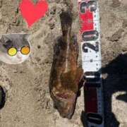 ヒメ日記 2025/09/12 23:05 投稿 しい 谷町人妻ゴールデン倶楽部