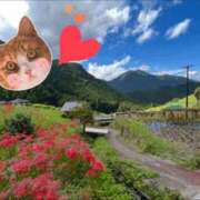 ヒメ日記 2025/10/10 10:30 投稿 しい 谷町人妻ゴールデン倶楽部