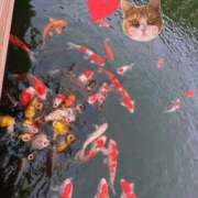 ヒメ日記 2025/10/14 22:20 投稿 しい 谷町人妻ゴールデン倶楽部