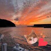 ヒメ日記 2025/11/05 00:00 投稿 しい 谷町人妻ゴールデン倶楽部