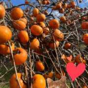 しい ? 谷町人妻ゴールデン倶楽部