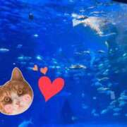 ヒメ日記 2025/12/31 23:15 投稿 しい 谷町人妻ゴールデン倶楽部