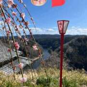 ヒメ日記 2026/03/17 23:55 投稿 しい 谷町人妻ゴールデン倶楽部