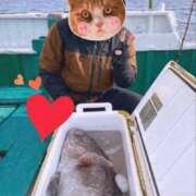 ヒメ日記 2026/03/24 23:50 投稿 しい 谷町人妻ゴールデン倶楽部