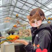 ヒメ日記 2026/04/13 22:50 投稿 しい 谷町人妻ゴールデン倶楽部