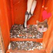 しい ※無題 谷町人妻ゴールデン倶楽部